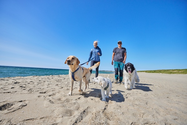 Arnes perro Line harness 5.0 naranja talla 7