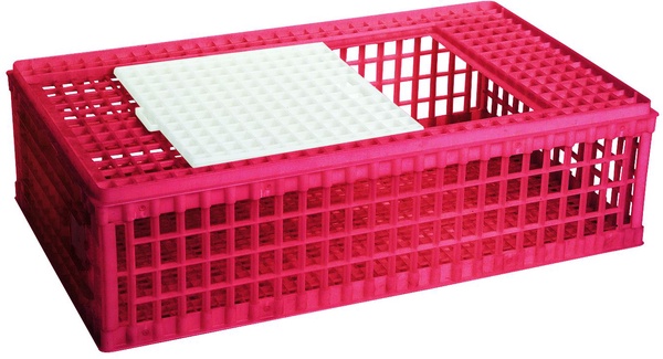 Jaula Plastico para Transporte Aves Jaula Plastico para Transporte Aves