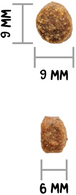 Pienso Perros Ownat Author Pollo Fresco 10 Kg