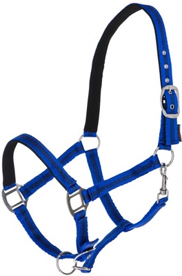 Cabezada Caballo Mustang Regulable Azul/Negro Talla Poni