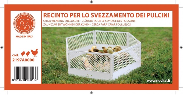 Corral de Destete para Pollitos