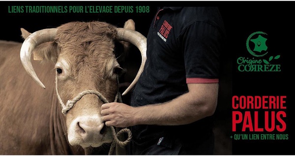 Cabezada Cuerda Azul 16 mm 3,5 Metros