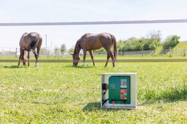 Pastor Electrico Ako AN 4000 de 12 V