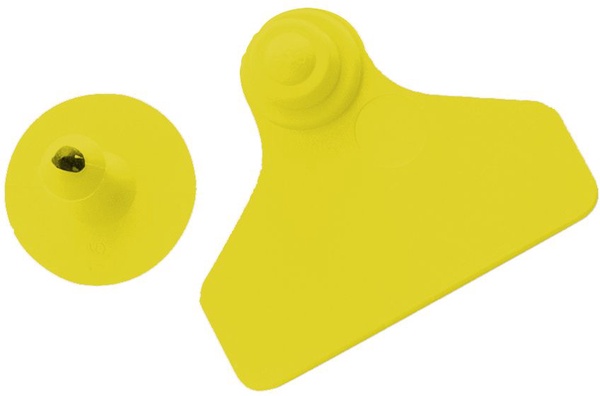 Pack 20 unidades Crotal Ovejas 55x45 mm