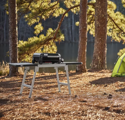 Plancha Weber SLATE GP 43 cm Premium