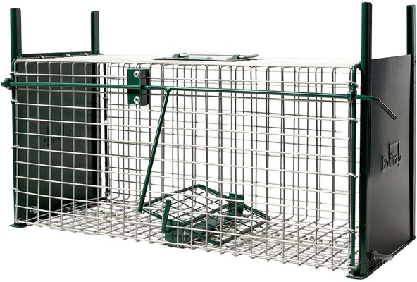 Jaula Trampa 2 Puertas  50x21x22 CM
