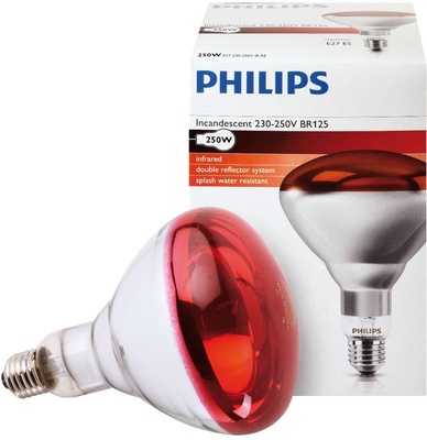 Bombilla Infrarrojos Philips 250 W