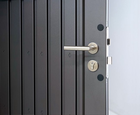 Puerta Adicional Plata Para Caseta