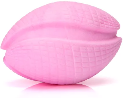 Juguete Espuma Pelota Rugby para Perro
