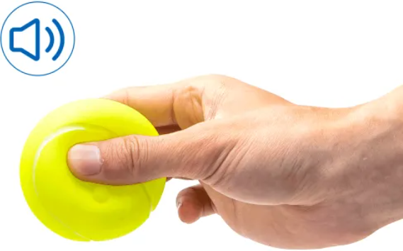 Juguete Pelota Tenis para Perros