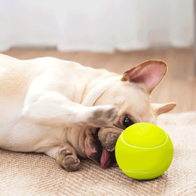 Juguete Pelota Tenis para Perros