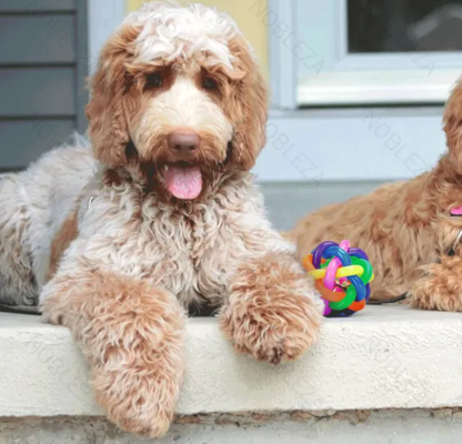 Juguete Pelota con Cascabel Perros M