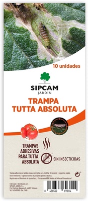 Trampa Adhesiva Tuta Absoluta Tomate 10 Unidades Trampa Adhesiva Tuta Absoluta Tomate 10 Unidades