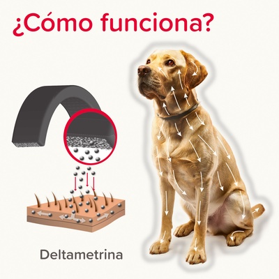 Pack 2 Unidades Canishield Collar Antiparasitario Perro Grande - 65cm