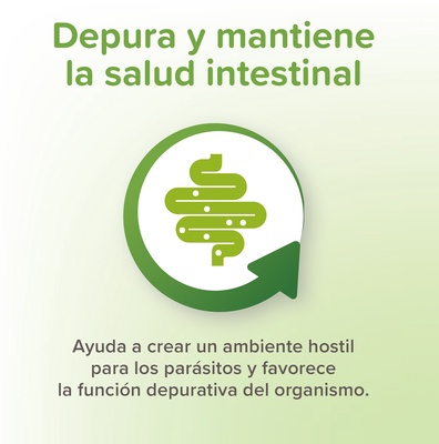 VERMIpure 50 Comprimidos Naturales Perros Medianos y Grandes