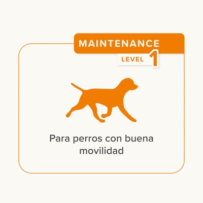 Flexfit Sticks Articulares Perros 175g