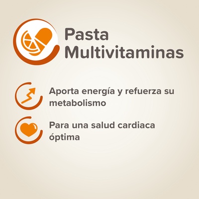 Beaphar Pasta Multivitaminas Perros 100g