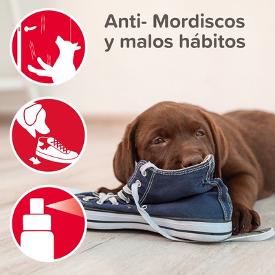 Beaphar Stop It Spray Educador Perros 100ml