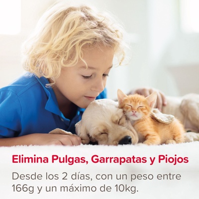 Beaphar FIPROtec Spray Antiparasitario Perros Gatos 100ml