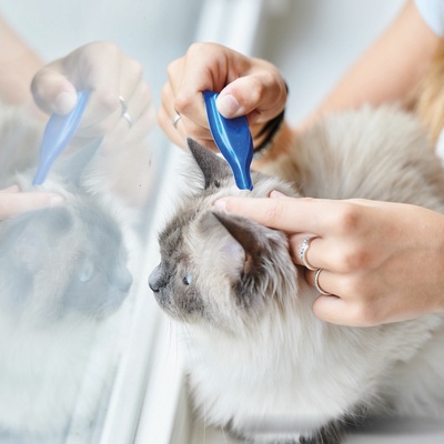 Beaphar Calming Spot On Pipetas Calmantes Gatos 3x0,4ml