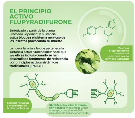 Pistola Insecticida Sistemico Sanium Anticochinillas 800 Ml