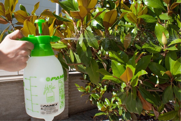 Pulverizador Pamex 2 L