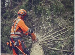 Motosierra de Gasolina Husqvarna 564 XP