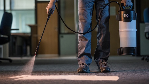 Espumador Electrico IK Foam Pro 12