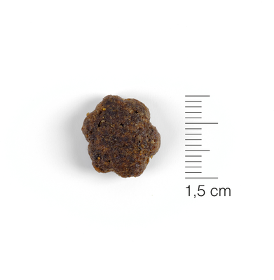 Pienso Perros Natura Diet Grain Free Salmon & Coconut 12 Kg