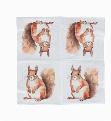 Servilletas Papel Ardilla 33x33cm 20 uds Servilletas Papel Ardilla 33x33cm 20 uds
